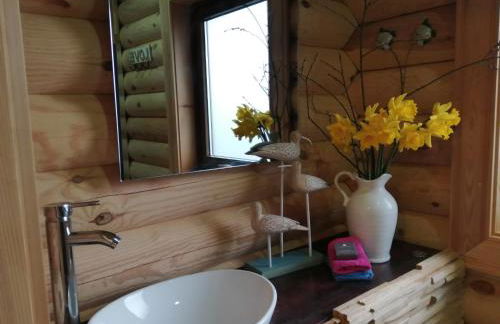 Ravenglass Log Cabin - Foto 11