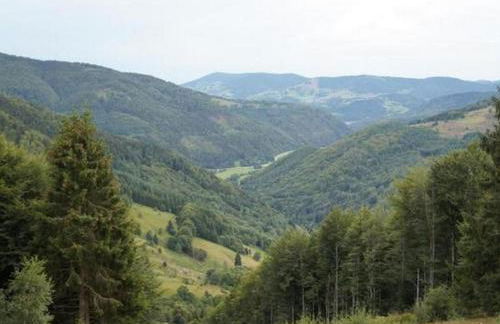 Apartment Ebser by Interhome - Foto 14