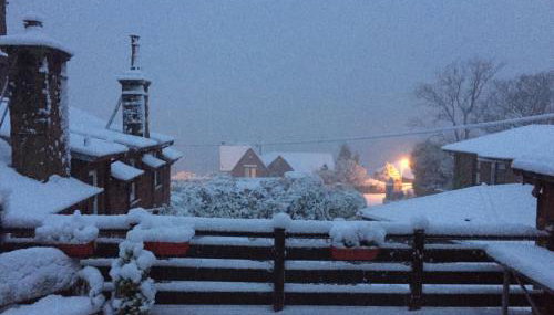 The Coach House - Foto 3, Garden