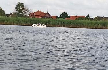 Willa Rubin - Foto 59