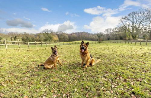 1 Bed in Whitegate 91266 - Photo 28
