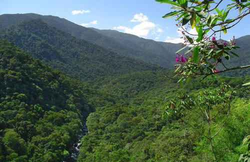 Stay in Itatiaia - Foto 65