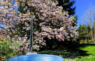 Ruhestifter-Salem mit Aromasauna und Hot Tub bis zu 10 Personen - Photo 3