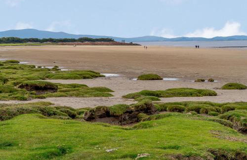 The Barnacle Goose - Uk35261 - Foto 19