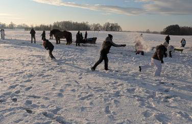 Agroturystyka Zagroda Alpaka - Foto 79
