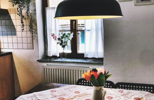 Apartment DOMO Kirchzarten - Foto 9