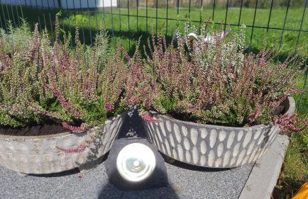 Apartament Nina - Foto 35