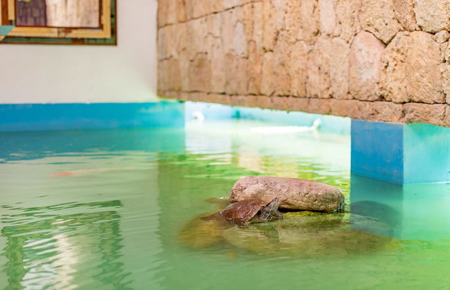 Fantastic villa at Casa de Campo - Foto 17