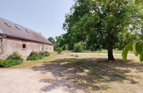 Gîte chaleureux dans un ancien corps de ferme avec wifi, cheminée et grand jardin à Châteaudun - FR-1-581-71 - Foto 29