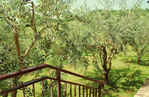 Villa Dorina - Foto 39