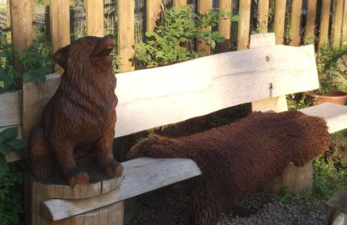 Funny-Farm - Foto 31