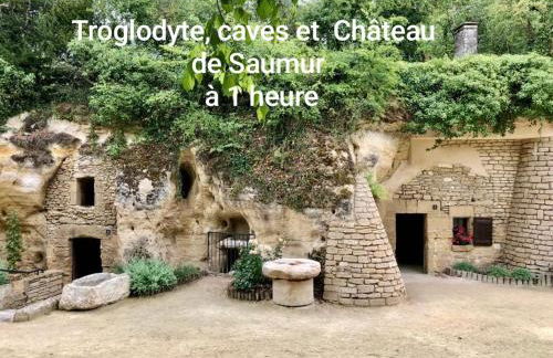 3 Gites proche Puy du fou - Foto 20