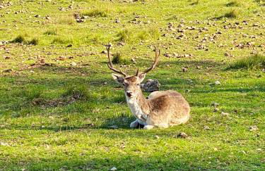 Maison de campagne à Camps-sur-l'Agly avec vue sur lac - Photo 17
