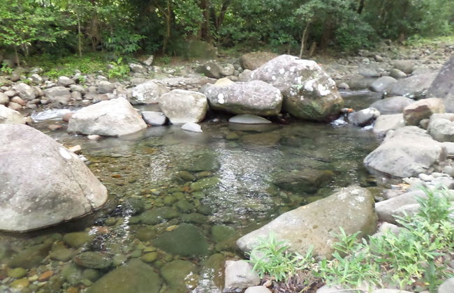 Citrus Creek Plantation - Photo 77