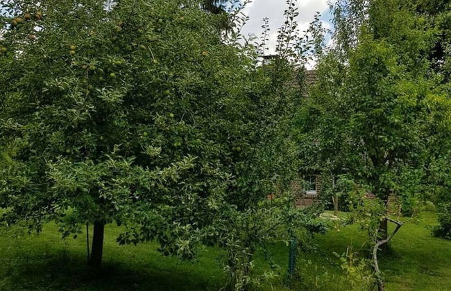 Lovely Apartment in Straelen - Photo 10