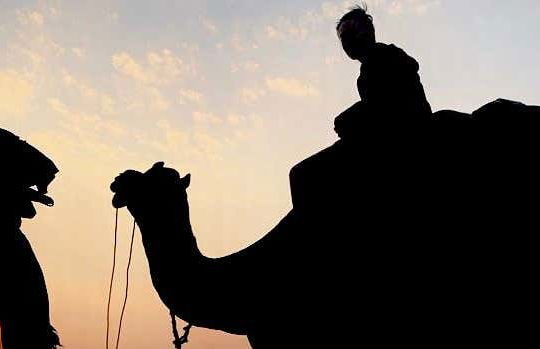 Nuit dans le désert de Thar - Photo 7