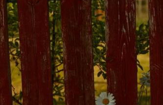 Magiczne Podlasie - Foto 36