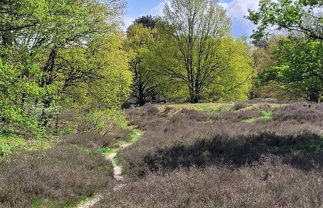 Villa in Overloon Near War Museum - Foto 13