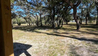 The Love Shack at Double S Farms - Foto 2