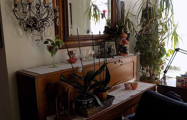 Affittacamere della Vittoria - Foto 18