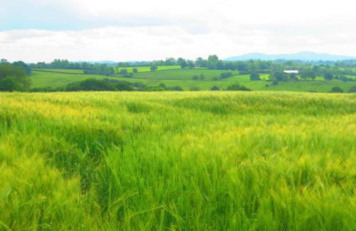 The Stables - Foto 12