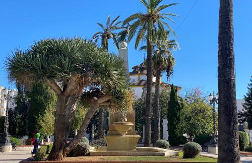 La Terraza de Porvenir 10 - Jerez de la Frontera - Foto 19