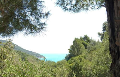 Camping Apartment Vignanotica - Foto 46