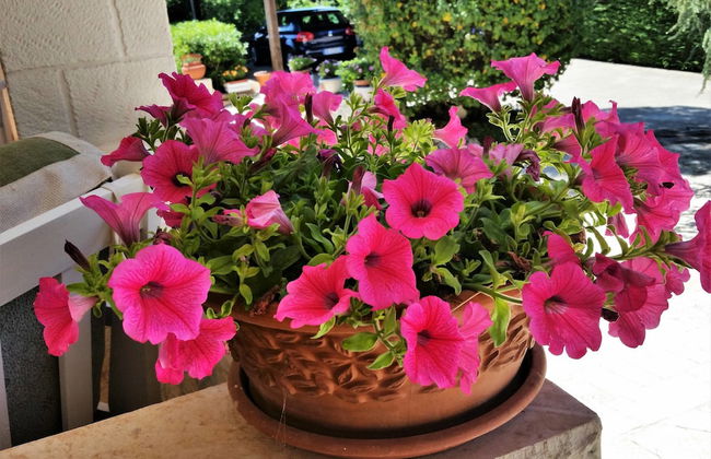 Dépendance in Villa Karmel - Photo 21