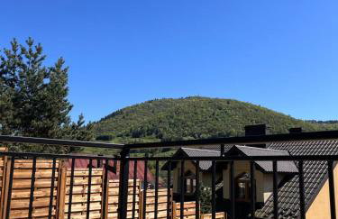 Domki Pienińskie Tarasy - Photo 75