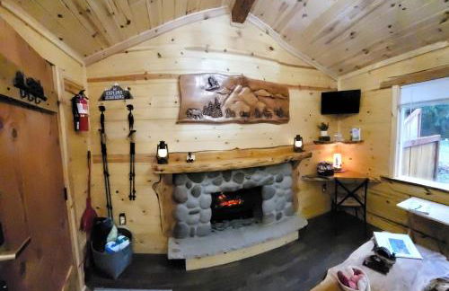 Knotty Shack- Unique Tiny Log Cabin with Hot Tub - Foto 19