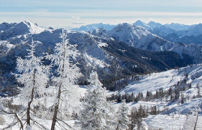 Nature Fun Apartments - Foto 10