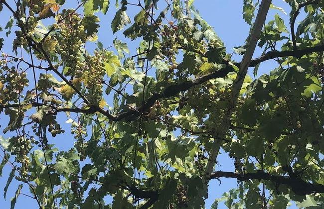 Holiday Home Sea View - Foto 21