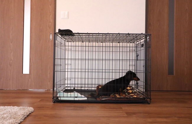 decopinhouse - Foto 58