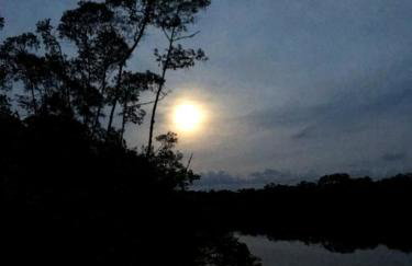 Pescaria em Iguape - Belo Rancho Subauma - Foto 41