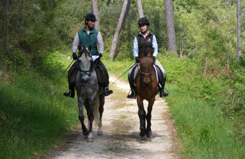 Villas de Aire Country Houses - Foto 48