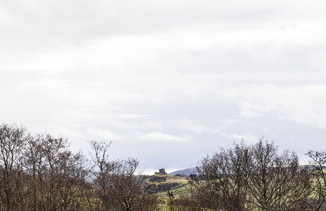 The Milking Sheds, Dufftown - Foto 35
