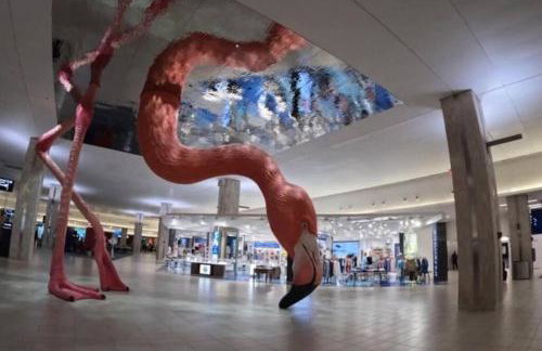 Charming Bungalow in Tampa - Foto 19