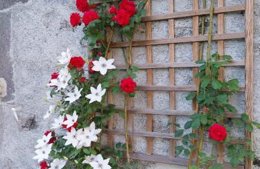 Villa 3 chambres à Saint-Cirgues-de-Malbert avec piscine - Foto 42