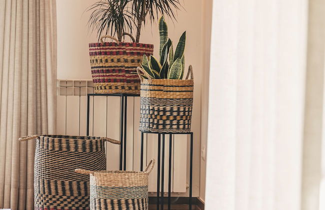 Vale Pisco - Photo 53