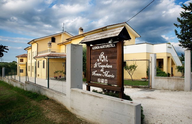 Agriturismo Il Casolare Di Nonno Mario - Foto 35