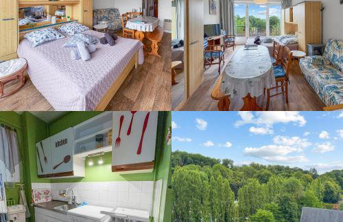 Appartement Bellevue Charmant - Foto 1