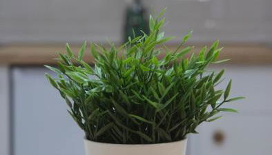 Torre de Ambroz - Foto 4