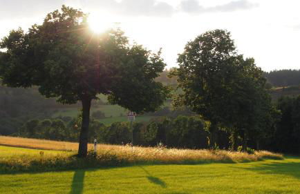 Fewo TaLuLa - Sauerland mit Hund - Foto 21