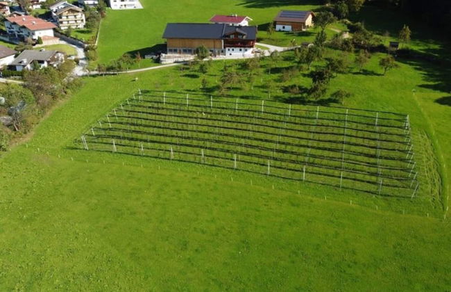 Holiday on an Organic Farm in Hart im Zillertal - Foto 35