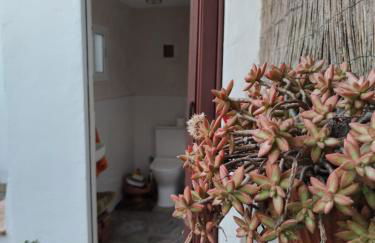 Casa El Jazmín - Foto 12