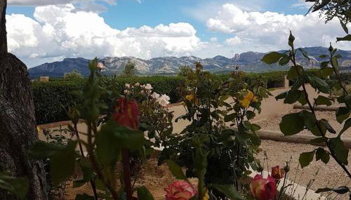 Ruralracons - Foto 4