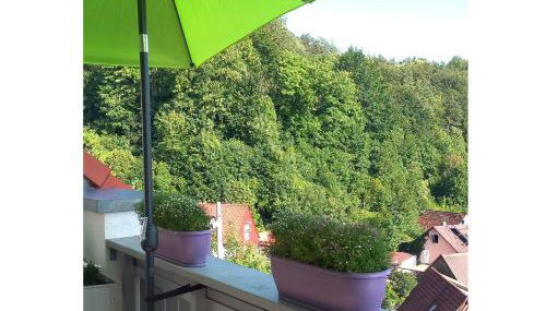 Ferienhaus Schlossblick - Foto 2