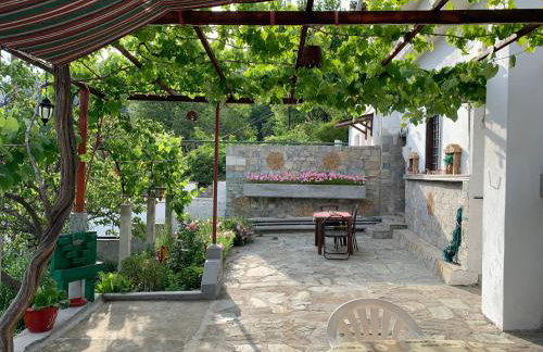 Η θεα traditional house - Foto 4