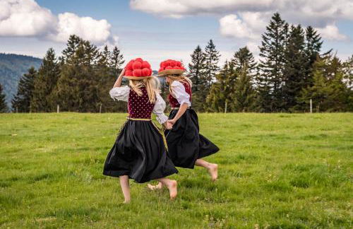 Black Forest Living, Todtnauberg, Feldberg - Foto 28