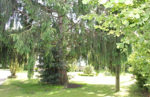 Casa Amalia - En el corazón verde de Cantabria!! - Foto 37